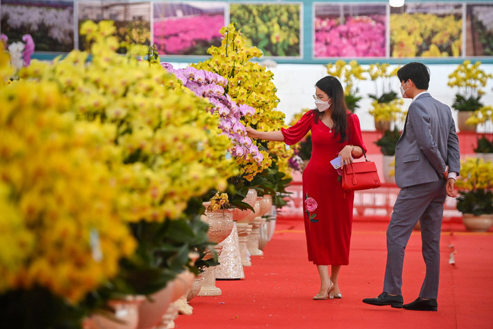 Các loại lan khá đa dạng, phong phú cả về chủng loại, màu sắc lẫn giá cả, thu hút khá đông người dân tới tham quan, mua sắm.
