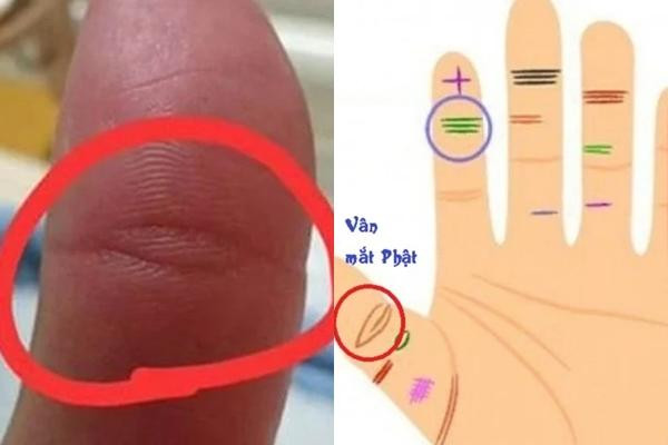 Những người có mẫu mắt Phật thường có thể dựa vào trực giác nhạy bén này để tìm kiếm vận may và tránh điều ác, giống như một vị thần và vị Phật. Không chỉ có một khả năng nhận thức mạnh mẽ, mà còn có một trí nhớ tuyệt vời.