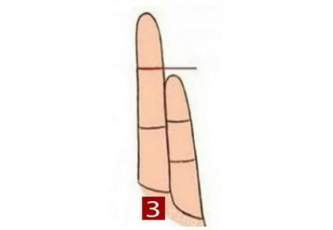 3. Chiều dài ngón tay út của bạn nằm giữa đốt ngón tay thứ nhất và thứ hai của ngón đeo nhẫn. Bạn là người không quen thể hiện cảm xúc của mình trước mặt mọi người, đặc biệt là những người ngưỡng mộ bạn.
