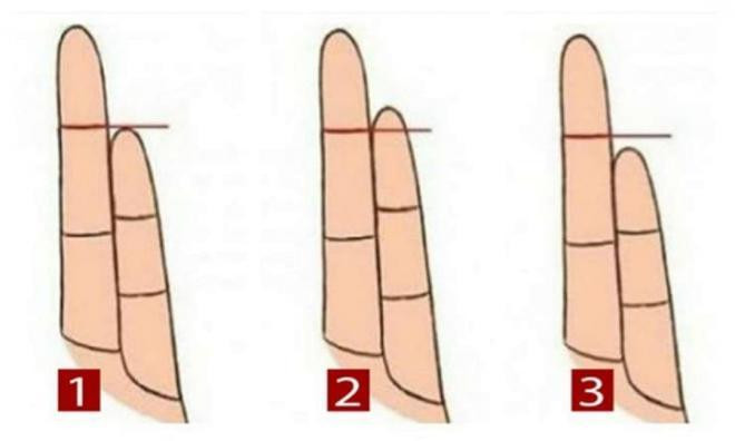 1. Đầu trước của ngón út chỉ đến trên đốt ngón tay thứ nhất của ngón đeo nhẫn. Bạn thích ở một mình, và bạn không chỉ tận hưởng nó mà còn tận dụng tối đa nó.