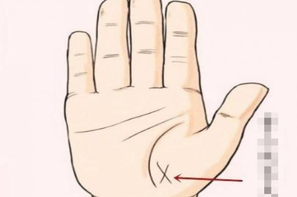 Hoa văn ở đường sinh khí. Hoa văn quý nhân ở gần đường sinh khí. Điểm đặc biệt của hoa văn này là nó liên quan nhiều đến việc tổ tiên của mệnh chủ có âm dương hay không, tức là có bóng tổ tiên che chở hay không, vì sự xuất hiện của loại hoa văn này có nghĩa là trong cung sinh mệnh có rất nhiều sao quý nhân, thậm chí là nhị tinh.