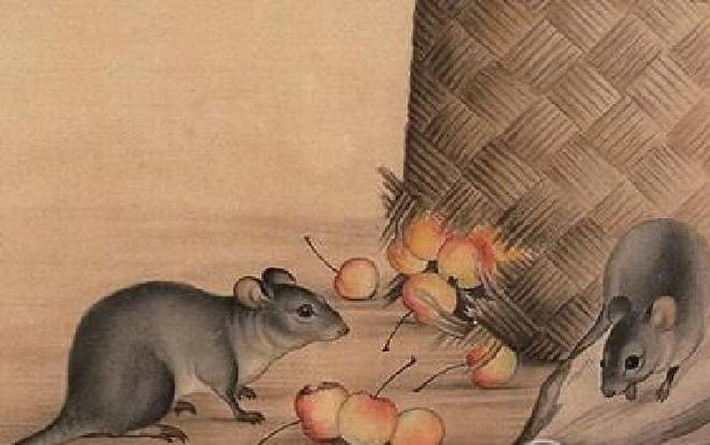 Tuần mới sang, con giáp tuổi Tý có tài vận dồi dào, gặp nhiều may mắn. Cuộc sống, công việc của họ đều thuận lợi hơn trước.