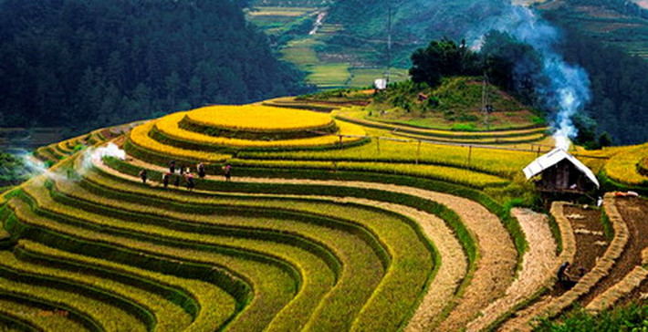 Ruộng bậc thang Hoàng Su Phì nằm trên địa bàn 6 xã Bản Luốc, Sán Sả Hồ, Bản Phùng, Hồ Thầu, Nậm Ty và Thông Nguyên, được đánh giá vào loại đẹp bậc nhất Việt Nam. Hiện, ruộng bậc thang Hoàng Su Phì đã được công nhận là Di tích quốc gia.