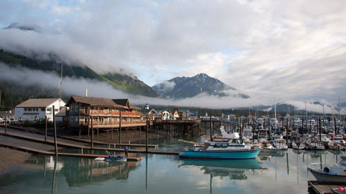 2. "Faina Ivanovna (tên của nữ công dân Nga đã về hưu) thân mến, bạn cần Alaska để làm gì chứ?" - Đó là câu trả lời mà ông Putin dành cho một bạn nữ độc giả khi cô hỏi về khả năng sáp nhập Alaska. Theo đó, ông trả lời một cách hài hước rằng: “Chúng ta là một đất nước ở phương bắc. 70% lãnh thổ của chúng ta nằm ở phía Bắc và vùng Bắc Cực. Thế Alaska là vùng nằm ở nam bán cầu ư? Không, ở đó cũng quá lạnh. Vì thế, vấn đề này chúng ta hãy cứ từ từ.