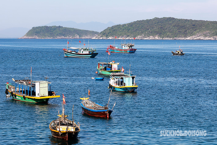 Cù Lao Chàm sở hữu vẻ đẹp hoang sơ, yên bình của thiên nhiên, là nơi rất nhiều du khách lựa chọn làm điểm đến sau khi khám phá phố cổ Hội An nhộn nhịp.