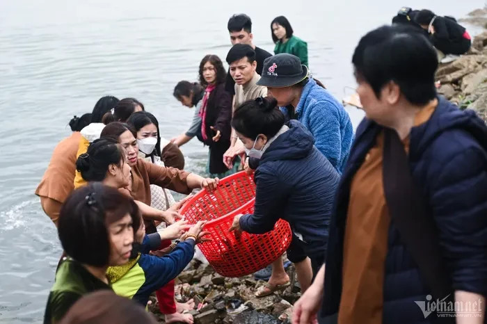 Một số người trẻ xắn quần, áo, đứng tại mép sông để nhận cá và thả nhẹ nhàng xuống nước.