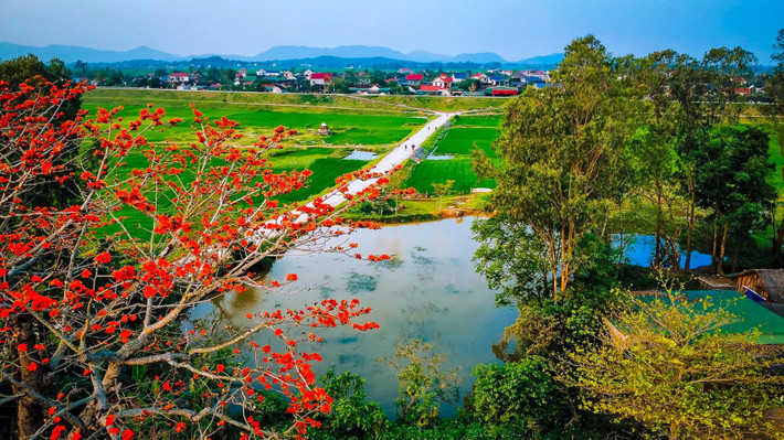 Từ trên cao, những cây hoa gạo đỏ rực như những ngọn đuốc.