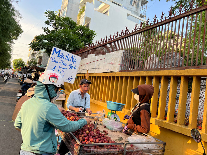 Trong khi đó, nhiều xe đẩy bán trái cây dạo rao bán giá mận hậu chỉ 15.000 đồng/kg. "Giá rẻ vì em "xả hàng" cho hết, chứ mấy hôm trước em bán giá gấp đôi là 30.000 đồng/kg. Đẩy hết hàng để còn lấy hàng mới bán, giữ giá cao hoài chắc... ôm luôn" - người phụ nữ bán mận dí dỏm nói. Tuy nhiên, theo quan sát của PV, mận hậu có giá rẻ do trái nhỏ, héo, nhiều quả xanh và chua...
