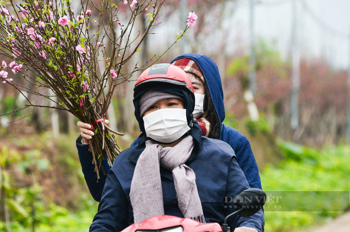 Nhiều người dân đi mua đào tỏ ra khá hài lòng khi đã chọn được một cành đào ưng ý.