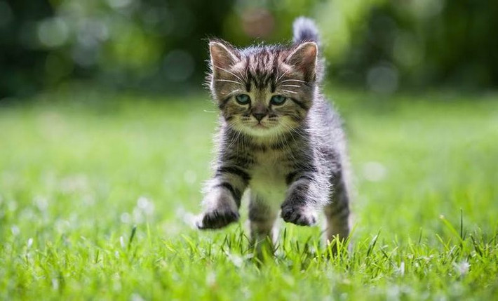 Cách làm việc hiệu quả và hiệu suất xuất sắc này cho phép tuổi Mão đạt được những kết quả ấn tượng trong sự nghiệp và gia đình. Đồng thời, họ cũng biết cách cân bằng mối quan hệ giữa công việc và gia đình để cuộc sống viên mãn và hạnh phúc hơn.