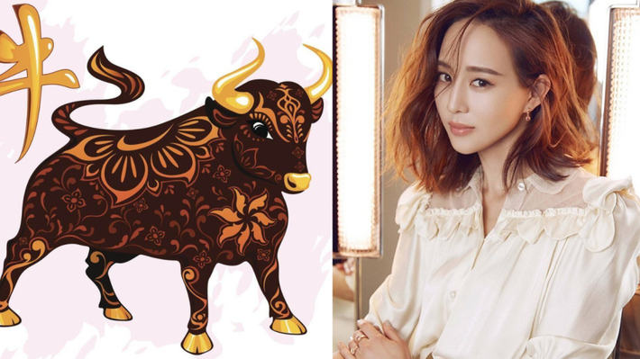 Tuổi Sửu: Trong 12 con giáp, tuổi Sửu là người thực tế, kiên định và có trách nhiệm. Họ chăm chỉ, theo đuổi sự ổn định và duy trì trạng thái an toàn. Một khi đã lên kế hoạch, con giáp này thường quyết tâm theo đuổi đến cùng và không bao giờ bị tác động xung quanh làm "thay đổi".