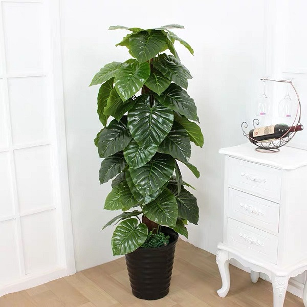 Mặc dù hoa giả và cỏ giả cũng có thể được làm rất chân thực và đẹp mắt, nhưng dù sao chúng cũng không phải là vật sống, không có sức sống mãnh liệt. Theo quan điểm của Phong Thủy, hoa và cây không có sức sống sẽ ảnh hưởng đến sự giàu có và thu hút những điều xấu.