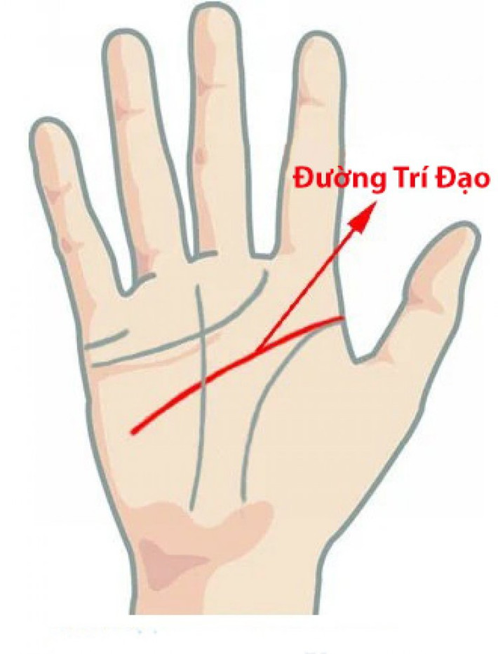 Với lợi thế đó cùng việc yêu thích việc kiếm tiền, bạn luôn biết nắm chắc cơ hội xảy đến với mình và thường thu về nguồn lợi lớn, đầu tư sinh lời liên tục.