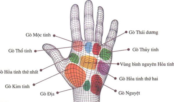 Họ thường làm việc rất tỉ mỉ, chu đáo, biết kiếm tiền và cũng biết giữ tiền. Họ chăm chỉ, chịu khó hết lòng vì công việc và lo cho tương lai, thế nên tiền bạc dồi dào nhờ trí tuệ và đôi bàn tay họ. Không những vậy tương lai họ còn có thể làm lãnh đạo, rất được người đời nể phục.