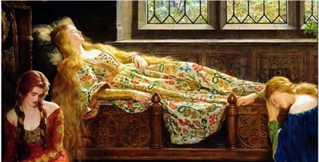 1. Ngủ 2 lần 1 ngày: Thường thì chúng ta chỉ ngủ 1 đêm và tỉnh dậy vào sáng hôm sau. Người châu Âu ngày xưa sẽ đi ngủ vào lúc mặt trời lặn và thức dậy vào lúc nửa đêm. Trong khoảng thời gian sau khỉ tỉnh dậy họ sẽ làm việc nhà và trò chuyện với người thân vài tiếng trước khi ngủ lần 2 và tỉnh dậy khi sáng sớm. Họ cho rằng việc ngủ như thế này giúp cho tinh thần sảng khoái và đầu óc tỉnh táo nhất.