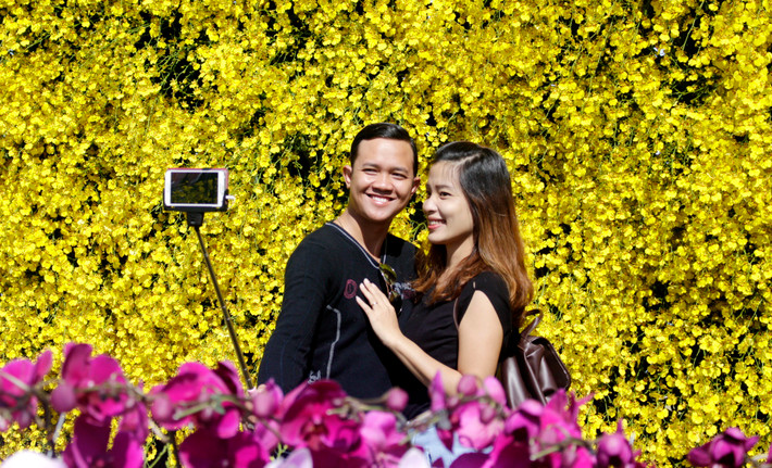 Đà Lạt (Lâm Đồng) được Chính phủ công nhận là "Thành phố Festival Hoa Việt Nam", qua đó khẳng định, tôn vinh những thế mạnh về ngành hoa và du lịch của địa phương. Được tổ chức định kỳ 2 năm một lần, Festival Hoa Đà Lạt là lễ hội văn hóa - du lịch mang tầm quốc gia và quốc tế, thu hút du khách mọi nơi. Ảnh: Lâm Đồng.