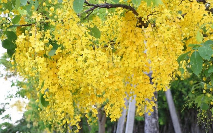 Vợ chồng họ đồng cam cộng khổ, vượt qua nhiều khó khăn để xây dựng sự nghiệp thành công, vun vén hạnh phúc gia đình. Cuộc sống của họ càng về sau càng ấm êm, sung túc. *Thông tin trong bài chỉ mang tính chiêm nghiệm, tham khảo