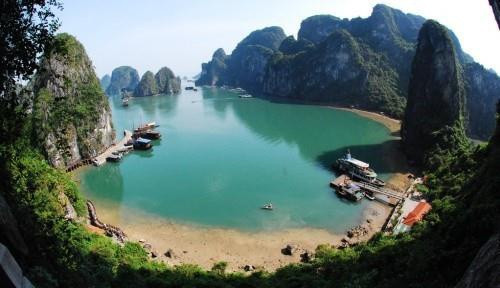 Hải Phòng được biết đến với biệt danh thành phố hoa phượng đỏ. Phượng vĩ là loài hoa mang tính biểu tượng của thành phố này.