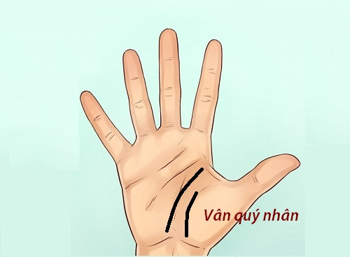 Đường quý nhân làm gì cũng thuận lợi. Đường chỉ tay quý nhân này thường nằm song song với ở đường chỉ tay vận mệnh thì đây chính là chỉ tay may mắn được quý nhân giúp đỡ.
