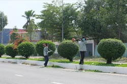 Đông Triều: Gói thầu cây xanh hơn 4,5 tỷ đồng vừa mở thầu đã bị tố gây hạn chế