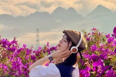 Suối Bon mùa hoa sim góc sống ảo lý tưởng cho du khách mê thiên nhiên