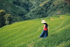 Tránh nóng lên Xím Vàng, thả mình giữa mùa xanh mướt