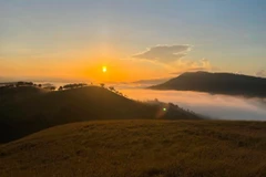 Đỉnh Phượng Hoàng mùa mây trắng điểm cắm trại hút du khách ở Quảng Ninh