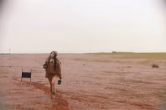 Báo cáo của Google cho thấy lượng tìm kiếm về Đà Lạt trải dài quanh năm. Cao điểm rơi vào cuối tháng 12, khi cỏ hồng nhuộm hồng cả cao nguyên; đầu tháng 2, mùa mai anh đào bung nở; và mùa hè (tháng 6-8), khi du khách tìm đến cao nguyên Lâm Viên để tránh nắng nóng. Ảnh Hồng Tâm