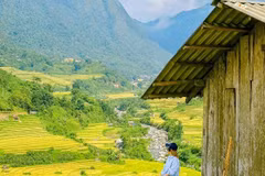 Sa Pa mùa lúa chín những góc sống ảo “chất lừ” cho tín đồ mê ảnh