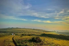 Thảo nguyên Bùi Hui vào mùa đẹp nhất, dân mê xê dịch đổ về