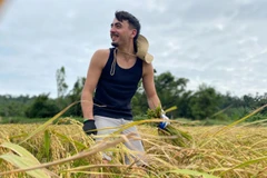 Chương trình du lịch trải nghiệm mùa vụ ở Cô Tô đang được nhiều hộ dân và homestay triển khai, kết hợp giữa tham quan, lao động và ẩm thực địa phương. Chị Nguyễn Minh Huệ, chủ một homestay tại thôn Hải Tiến, cho biết, trải nghiệm làm nông dân trên đảo nhận được phản hồi tích cực từ khách quốc tế. Ảnh TapchidulichTPHCM