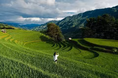 Mù Cang Chải xanh mướt mùa lúa non, hút khách mê xê dịch