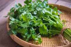 Rau mùi hỗ trợ thải độc, giảm gánh nặng cho gan