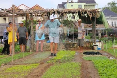 Trải nghiệm làm nông dân ở làng rau 400 tuổi giữa lòng Hội An