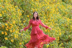 Săn mùa dã quỳ Chư Đăng Ya hành trình ngắm sắc vàng giữa cao nguyên Gia Lai