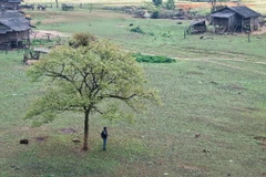 Bản Tà Phình Mộc Châu có gì hấp dẫn mà ai cũng muốn một lần ghé thăm?