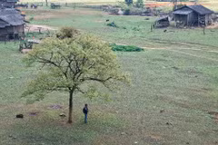 Bản Tà Phình Mộc Châu có gì hấp dẫn mà ai cũng muốn một lần ghé thăm?