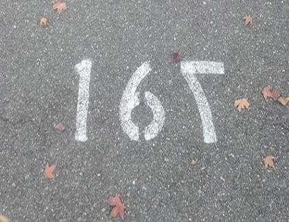 Ngượng chín mặt với những lỗi ngớ ngẩn (1)