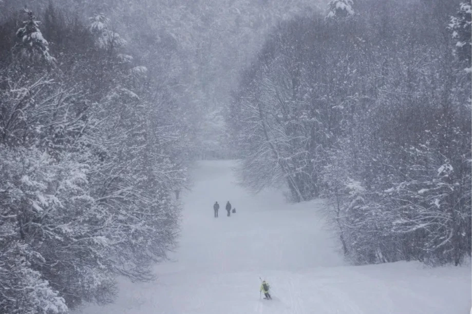 Cảnh tuyết rơi trắng xóa ở Hungary