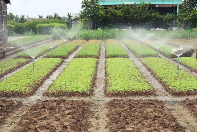 Mô hình tưới nước tiết kiệm nước (Ảnh tư liệu) 3.jpg