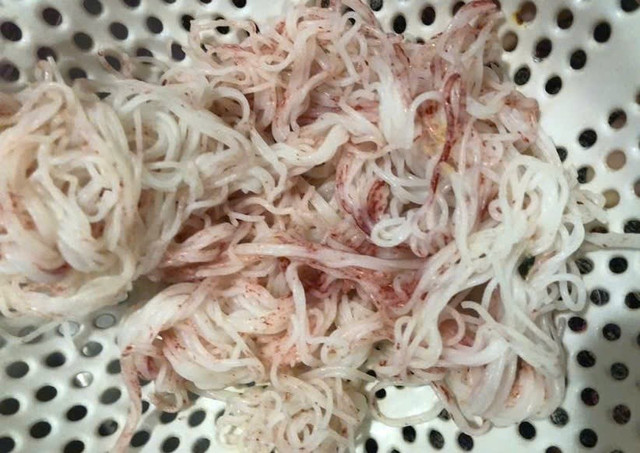 Số bún còn lại bị đổi màu sau vài giờ 33.jpg