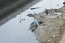 Phát hiện thi thể người đàn ông trên sông Tô Lịch