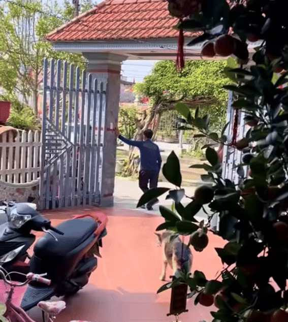 Biet con gai ve que an Tet, bo dung ngoi khong yen