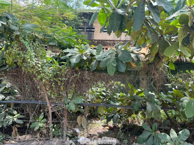 Thế nhưng, sau hơn 2 thập kỷ, chợ Phú Hữu giờ đây chỉ còn là một khu nhà bỏ hoang với cảnh tượng hoang tàn. Phía bên ngoài chợ, cổng rào được khóa chặt, ngăn không cho người dân đi vào công trình. Thế nhưng, sau hơn 2 thập kỷ, chợ Phú Hữu giờ đây chỉ còn là một khu nhà bỏ hoang với cảnh tượng hoang tàn. Phía bên ngoài chợ, cổng rào được khóa chặt, ngăn không cho người dân đi vào công trình.