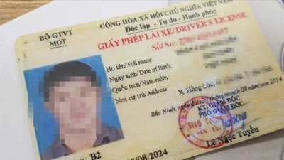 Cho mượn GPLX để né phạt nguội, coi chừng mất bằng "dính án'