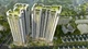 HU1 lãnh án phạt 210 triệu, cổ phiếu “rơi tự do” về đáy
