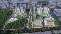Năm Bảy Bảy thông qua đầu tư hai dự án lớn hơn 10.500 tỷ tại TP.HCM