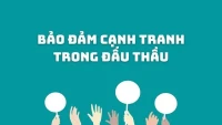 Soi chiếu các gói thầu của Vũ Gia: Chuyên gia và luật sư nói gì?