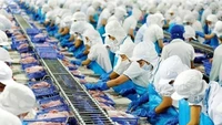 Vĩnh Hoàn lãi 733 tỷ đồng sau 6 tháng, vượt nửa kế hoạch năm
