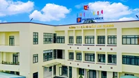 Gói thầu 2,3 tỷ tại Petrolimex An Giang: Bí ẩn nhà thầu "một mình một ngựa" và tỷ lệ tiết kiệm 0,51%